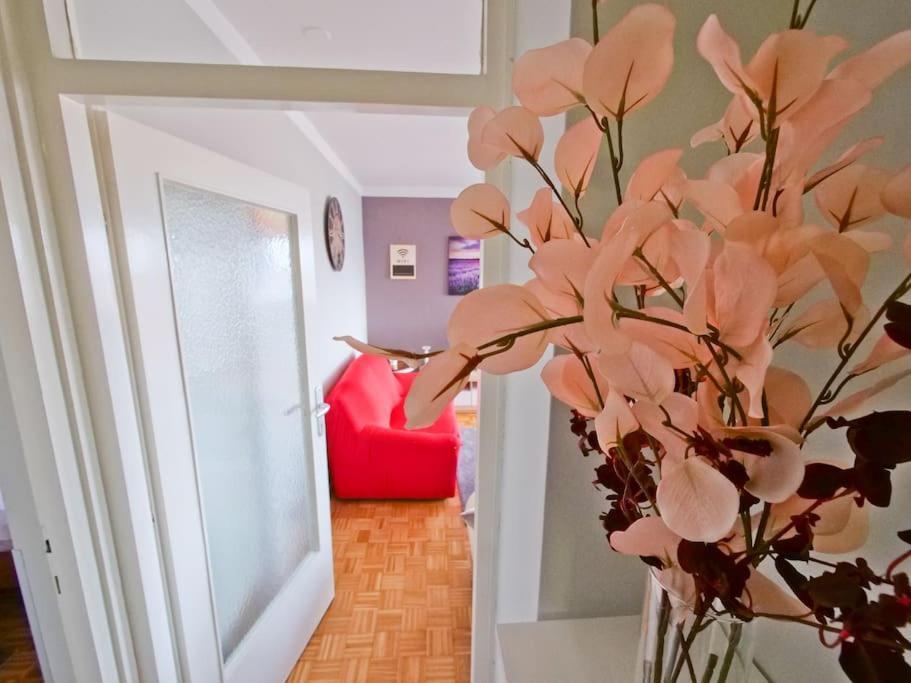 P&C Zadar Apartment المظهر الخارجي الصورة